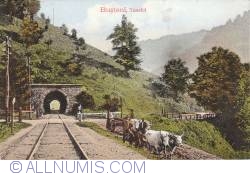 Image #1 of Bușteni - Railroad tunnel