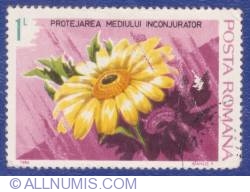 Image #1 of 1 Leu - Sunflower