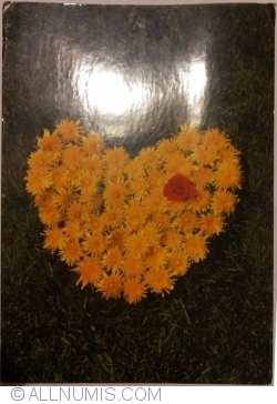Image #1 of Inimă din flori galbene