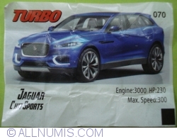 070 - Jaguar Ch17 Sports