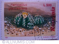 500 Lei - Ferocactus glaucescens