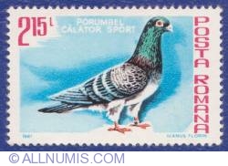 Image #1 of 2.15 Lei -  Carrier Pigeon