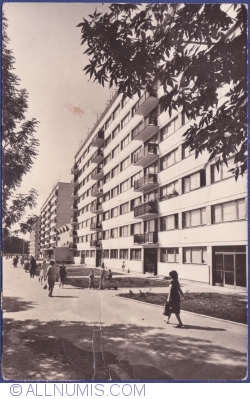 Image #1 of Bucharest - „Pieptănari” Boulevard (1965)