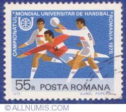 55 Bani - Handball