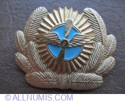 Emblema cascheta-Aviatia militara