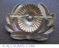 Image #2 of Emblema cascheta-Aviatia militara