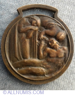 Medalia maternitatii