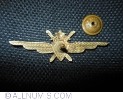 Image #2 of 3rd Class Pilots Wings