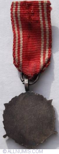 Medal of the Armed Forces in the Service of the Fatherland 2nd class (15 years)
