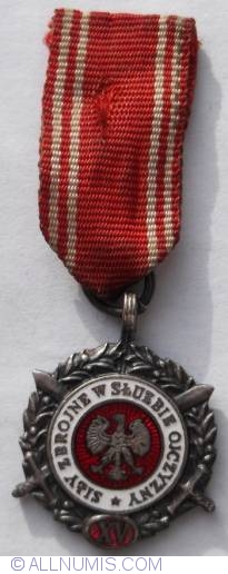 Image #1 of Medal of the Armed Forces in the Service of the Fatherland 2nd class (15 years)