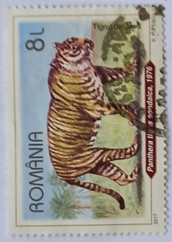 8 Lei - Javan Tiger (Panthera tigris sondaica)