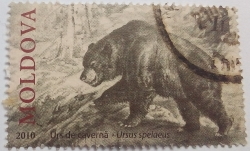 Image #1 of 1 Leu 2010 - Urs de cavernă (Ursus spelaeus)
