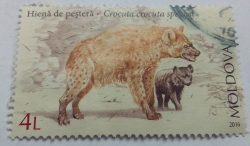 Image #1 of 4 Lei 2016 - Hiena de peșteră (Crocuta crocuta spelaea)