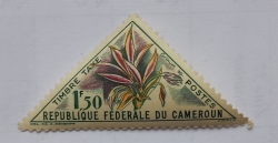 1.5 Franci 1963 - Grinum sp.