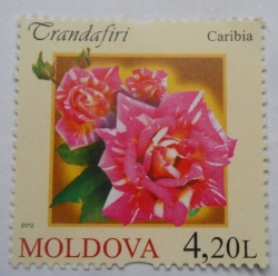Image #1 of 4.20 Lei - Roses - Caribia