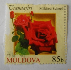 85 Bani - Roses - Mildred Scheel