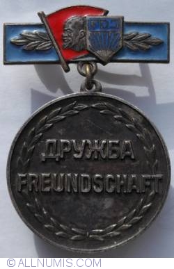 Image #1 of Insigna Prietenia sovieto-germana