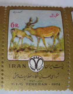 6 Rial 1974 - Fallow Deer (Dama dama)