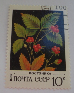 10 Kopek 1982 - Stone Bramble (Rubus saxatilis) - Костяника