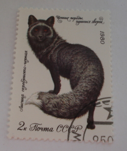 Image #1 of 2 Kopek 1980 - Silver-black Fox (Vulpes vulpes var.)