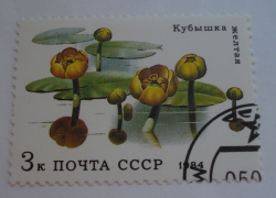 Image #1 of 3 Kopeks 1984 - Yellow Water Lilies (Nuphar lutea)