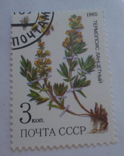3 Kopeks 1985 - "Thermopsis lanceolata"