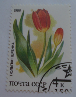 4 Kopeks 1986 - Tulips
