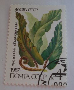 Image #1 of 4 Kopeks 1987 - Scolopendrium vulgare