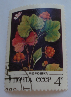 4 Kopeks 1982 - Cloudberry (Rubus chamaemorus) - Морошка