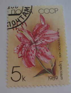 Image #1 of 5 Kopek 1989 - Japanese Lily (Lilium speciosum)