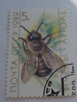 Image #1 of 5 Kopek 1989 - Honey Bee (Drone (Apis mellifica))