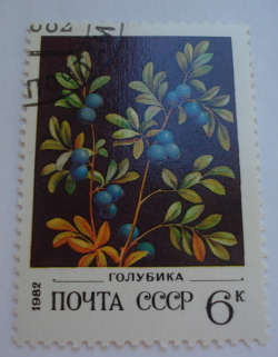 6 Kopeks 1982 - Northern Bilberry (Vaccinium uliginosum) - Голубика