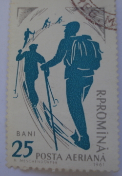 Image #1 of 25 Bani 1961 - Skier Ascending