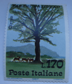 Image #1 of 170 Lire 1967 - Cerbul (Dama dama) și copac, Parcul Circeo
