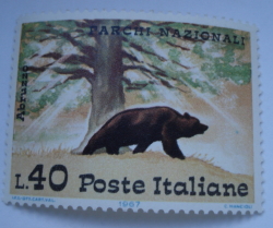 Image #1 of 40 Lire 1967 - Brown Bear (Ursus arctos), Abruzzo Park