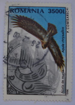 Image #1 of 3500 Lei - Mountain Eagle