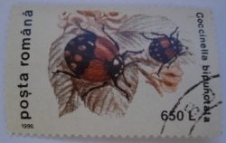 Image #1 of 650 Lei - Coccinella Bipunctata