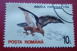 10 Lei 1993 - Golden Eagle (Aquila chrysaetos)