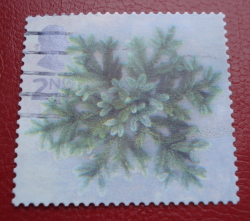 Image #1 of 2 nd 2002 - Blue Spruce Star