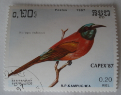 Image #1 of 0.20 Riel 1987 - Northern Carmine Bee-eater (Merops nubicus)