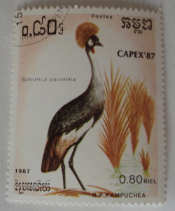0.80 Riel 1987 - Black Crowned Crane (Balearica pavonina)