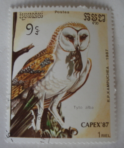 1 Riel 1987 - Bufnița de vest (Tyto alba)