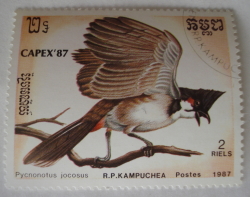 Image #1 of 2 Riels 1987 - Bulbul roșu cu mustață (Pycnonotus jocosus)