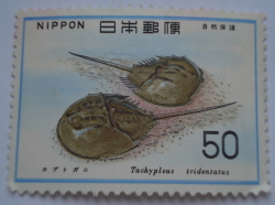 Image #1 of 50 Yen -  Japanese Horseshoe Crab (Tachypleus tridentatus)