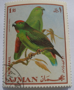 Image #1 of 1 Riyal - Moluccan Hanging Parrot (Loriculus amabilis)