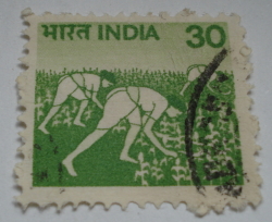 Image #1 of 30 Paisa 1982 - Harvesting Maize
