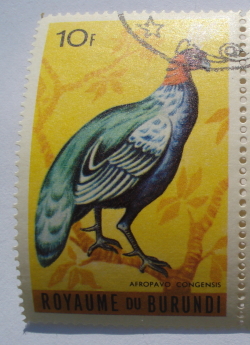 10 Francs - Congo Peacock (Afropavo congensis)