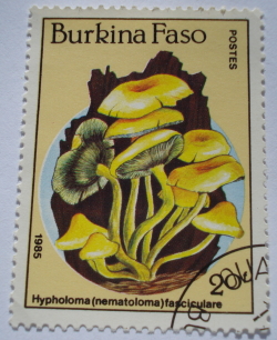 Image #1 of 20 Francs 1985 - Hypholoma (nematoloma) fasciculare