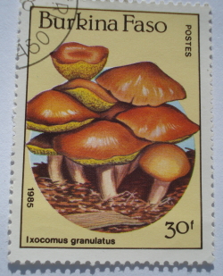 Image #1 of 30 Francs 1985 - Ixocomus granulatus