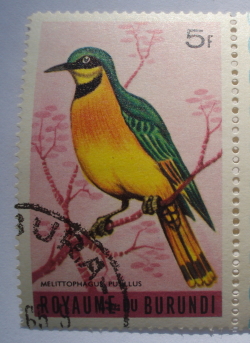 Image #1 of 5 Francs - Little Bee-eater (Melittophagus pusillus)